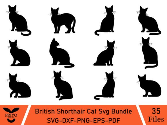British Shorthair Cat Svg Bundle