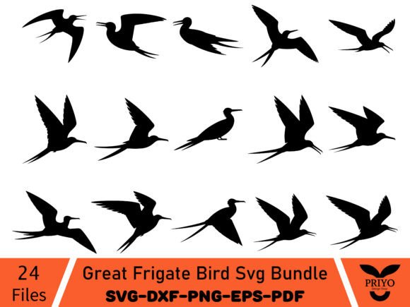Great Frigate Bird Svg Bundle