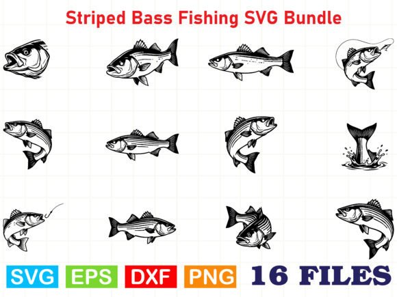 Striped Bass Fishing SVG Bundle